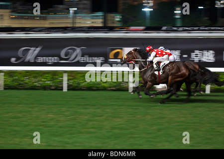 Pferde galoppieren bis zum Ziel - Nacht Pferderennen in Happy Valley Pferderennbahn in Hong Kong. Stockfoto