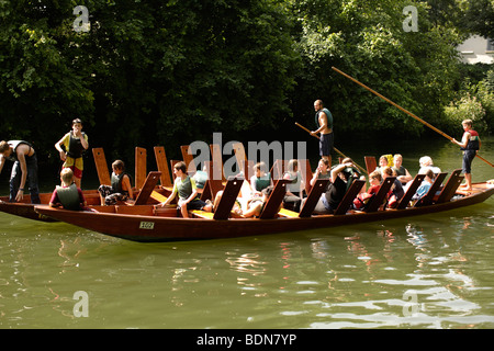 Punt, Neckar, Tübingen, Baden-Württemberg, Deutschland, Europa Stockfoto