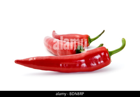 Rote scharfe Chilischoten, isoliert auf weiss Stockfoto