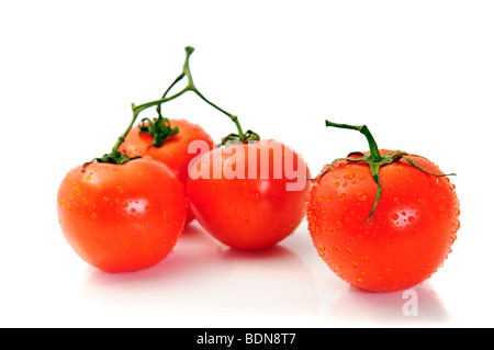 Gruppe Tomate isoliert auf weiß. Erste im Fokus Stockfoto
