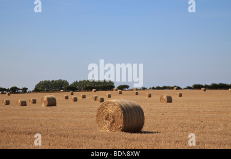 Strohballen in einem Feld von kürzlich geernteten Weizen in North Norfolk, England Stockfoto