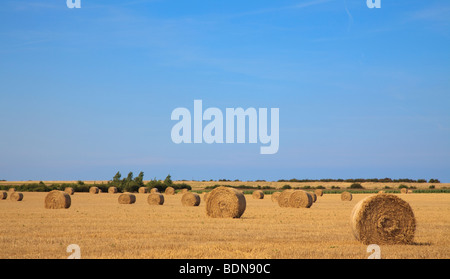 Strohballen in einem Feld von kürzlich geernteten Weizen in North Norfolk, England Stockfoto