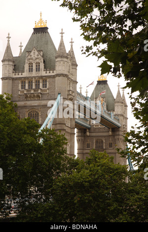 Eine gerahmte Blick auf Tower Bridge durch Bäume Stockfoto