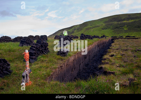 Schottisches traditionelles Torfschneiden für Brennstoff und Trocknung im Hochland. Torfstapel und Moorböden Bodenextraktionsanlagen in Sutherland, Schottland, Großbritannien Stockfoto