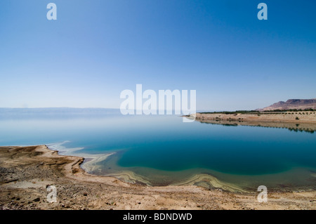 Mineralische Ablagerungen Klingeln der Ostküste des Toten Meeres in Jordanien. Stockfoto
