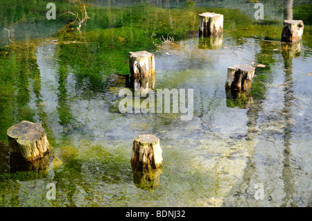 Der Stille Pool auf der North Downs Way in Albury, Surrey, England. Stockfoto