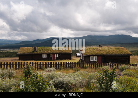 Traditionelle Grasdachhäuser in den Bergen oberhalb von Vinstra, Lillehammer, Norwegen Stockfoto
