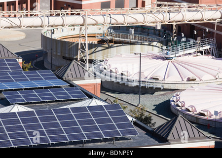 Sonnenkollektoren in einer Wasseraufbereitungsanlage Stockfoto