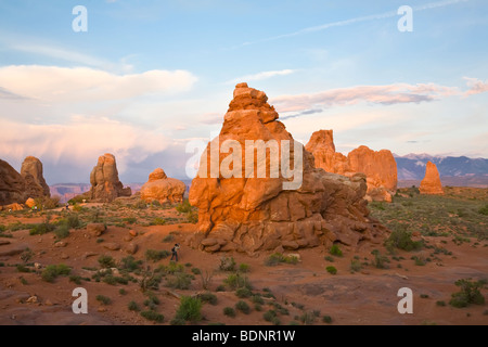 Am späten Nachmittag leichte auf Sandstein-Formationen im Arches-Nationalpark, Moab, Utah, USA Stockfoto