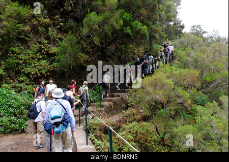 Geführte Wanderung zu den 25 Quellen Fontes, im Parque Natural de Madeira, Portugal, Europa Stockfoto