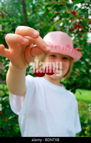 Frisch gepflückt, blondes Mädchen mit Sommerhut, 5 Jahre, hält zwei Kirschen mit ihren Fingern, Sauerkirschen (Prunus Cerasus) Stockfoto