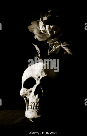 Schädel und rose Stockfoto