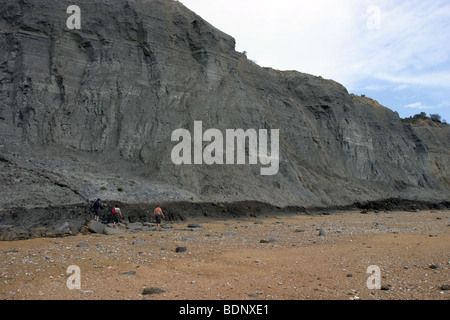 Fossil Hunters auf Charmouth Strand, Jurassic World Heritage Site, Dorset, England Stockfoto