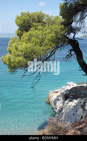 Kastani Beach auf der griechischen Insel Skopelos verwendet in der Verfilmung von Mamma mia Stockfoto