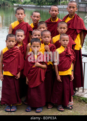 Eine Gruppe von buddhistischen junge Novizen in Rewalsar. Rewalsar. Himachal Pradesh. Indien. Stockfoto