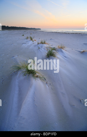 Sanddünen, Dueodde, Bornholm, Dänemark, Europa Stockfoto