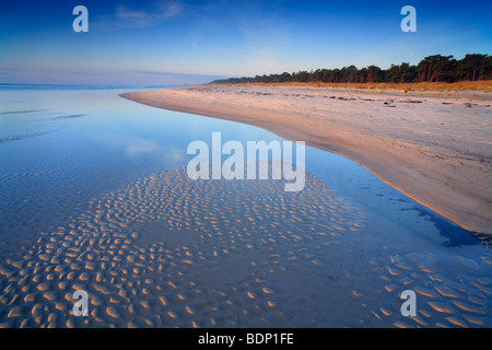 Wellige Sand am Strand, Dueodde, Bornholm, Dänemark, Europa Stockfoto