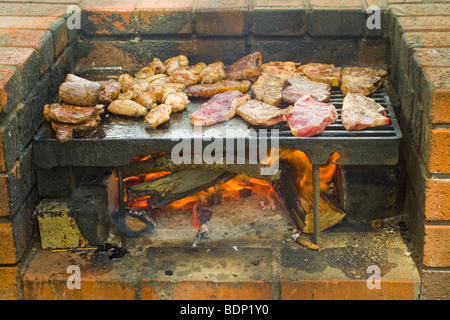 Ein Holz befeuerten gemauerter Grill im Einsatz bei Wenderholm Park, nördlich von Auckland New Zealand Stockfoto