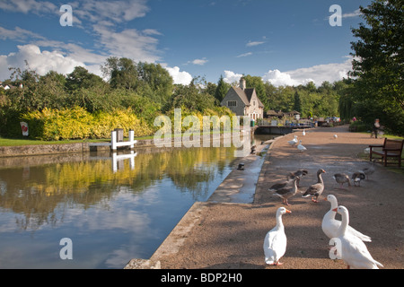 Iffley Lock auf der Themse in Oxford, Oxfordshire, Vereinigtes Königreich Stockfoto