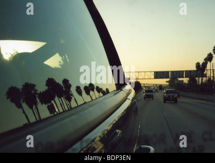 Reflexionen der Palmen in einem Autofenster in Südkalifornien Stockfoto