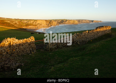 Auf der Suche nach gegenüber Tränen hin Mewslade Bucht, in der Nähe von Rhossili, Gower Halbinsel, West Glamorgan, Südwales, U.K Stockfoto