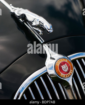 Jaguar 3,4 Liter Mk ich Salon. Springende Jaguar Maskottchen und Logo, britische Oldtimer Stockfoto