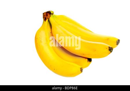 frische Bündel Bananen isoliert auf weißem Hintergrund Stockfoto