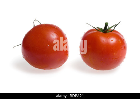 Tomaten, die isoliert auf weißem Hintergrund Stockfoto