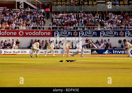 Cricket-Spieler beim The Ashes Cricket Wettbewerb, London, UK 3 Tauben stehen bei midwickit Stockfoto