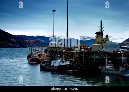 Angeln, Boote und Trawler im Hafen von Ullapool auf Loch Broom mit Schnee bedeckt Berge im Hintergrund Stockfoto