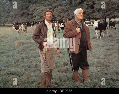 La Pferd Baujahr: 1970 Regie: Pierre Granier-Deferre Jean Gabin, Michel Barbey Stockfoto