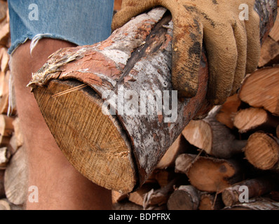 Eine Hand in einen Handschuh hält ein Protokoll Stockfoto