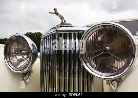 Autofahren, zuerst springenden Jaguar Maskottchen auf Vorderseite des 1936 machte British SS1.5 Auto Stockfoto