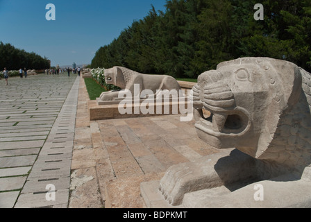 Straße der Lions in Anitkabir, Ankara, Türkei Stockfoto