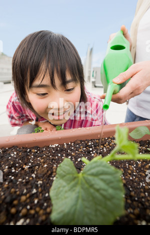 Junge Pflanze suchen Stockfoto