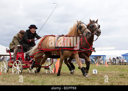 Huschen Sie Renn- oder doppelte Gurt huschen Auto-UK Stockfoto