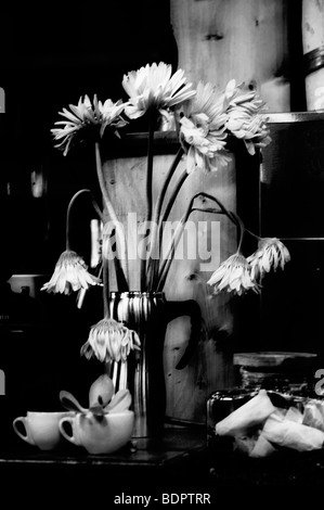 Welke Blumen in einer vase Stockfoto