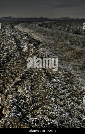Ein Acker in Suffolk mit frost Stockfoto