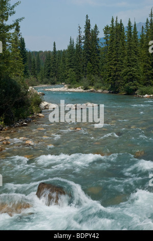 Bow River fließt durch Lake Louise, Alberta, Kanada Stockfoto