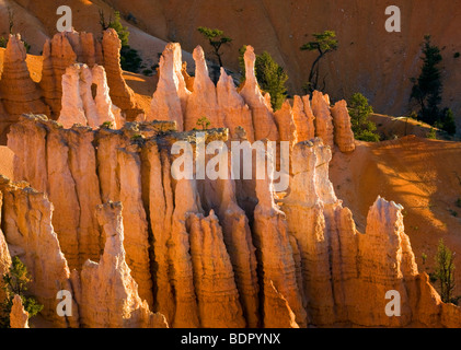 Unglücksbote Formationen aus Bryce Sicht, Bryce-Canyon-Nationalpark, Utah, USA. Stockfoto