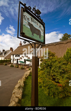 Der Black Bull Pub der einzige reetgedeckten Pub in Northumberland Stockfoto