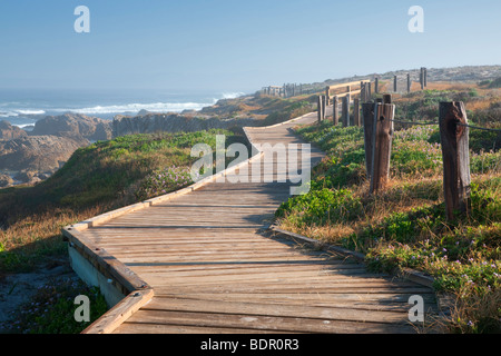 Holzsteg und Ozean auf 17 Mile Drive. Pebble Beach, Kalifornien Stockfoto