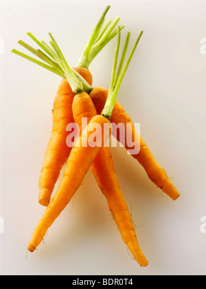 Frische Baby-Karotten Stockfoto