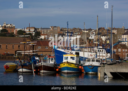Hafen mit Yachten und Fischerbooten Stockfoto