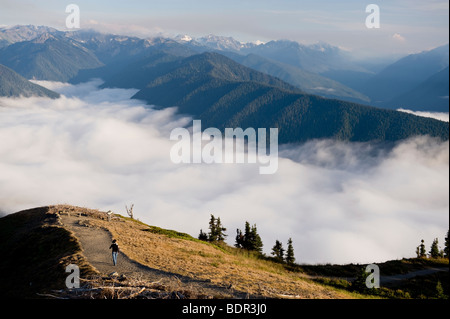 Wanderer auf High Ridge Trail in Hurricane Ridge, Olympic Nationalpark, Washington, USA Stockfoto