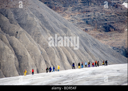 Touristen auf einer geführten Wanderung auf dem Athabasca-Gletscher, Jasper Nationalpark, Alberta, Kanada Stockfoto