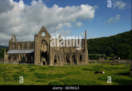 Tintern Abbey Wales Walisisch Kirche Mönch National Stockfoto