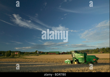 Ein Mähdrescher auf einem Feld-Schweden. Stockfoto