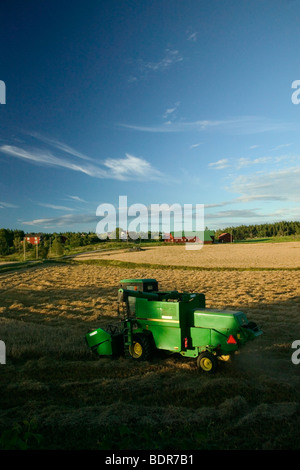 Ein Mähdrescher auf einem Feld-Schweden. Stockfoto