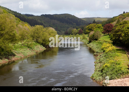 UK, Gloucestershire, Forest of Dean, Wye Valley, Brockweir, River Wye Stockfoto